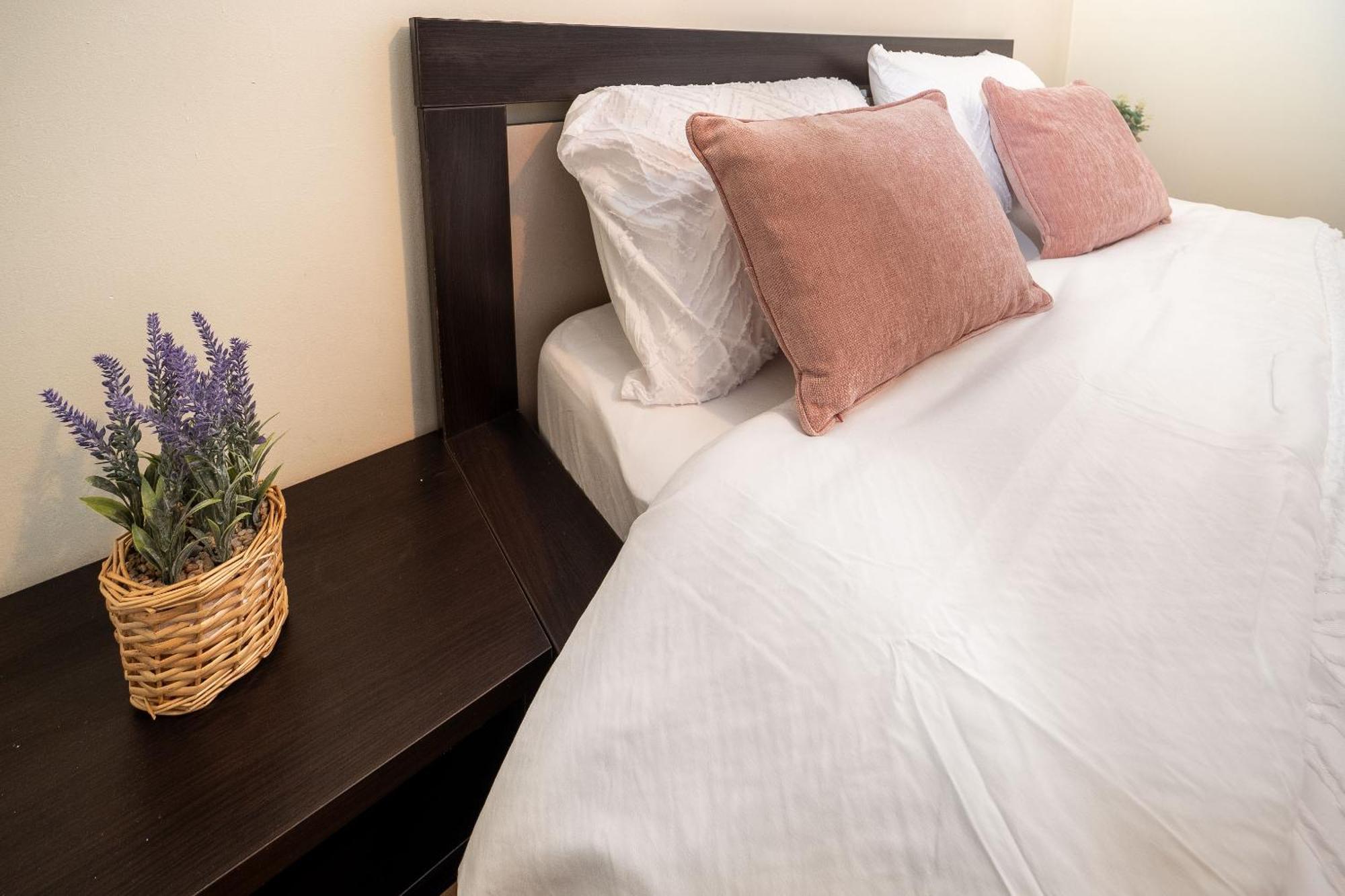 Central Elegant - Anastasia Apartment - By Openhouse Timisoara Bagian luar foto